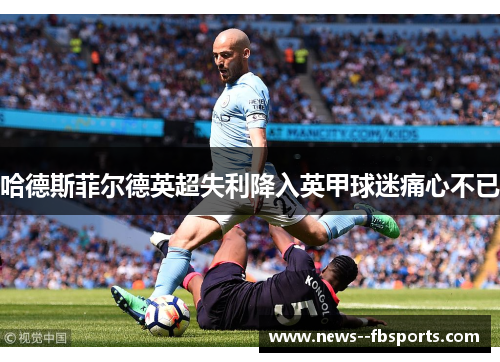 哈德斯菲尔德英超失利降入英甲球迷痛心不已