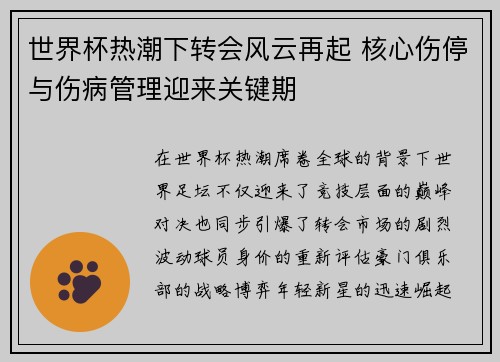 世界杯热潮下转会风云再起 核心伤停与伤病管理迎来关键期